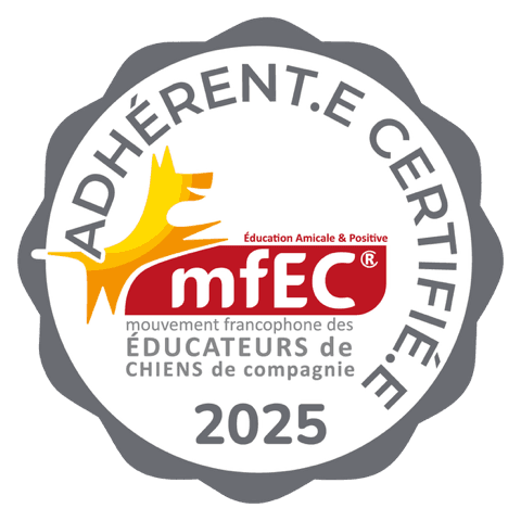 Badge certification mfEC - Adhérent.e certifié.e 2025